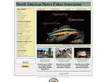 Tablet Screenshot of nanfa.org